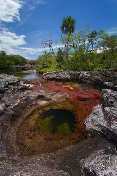 Paysage colombie Caño Cristales caño cristales colombia