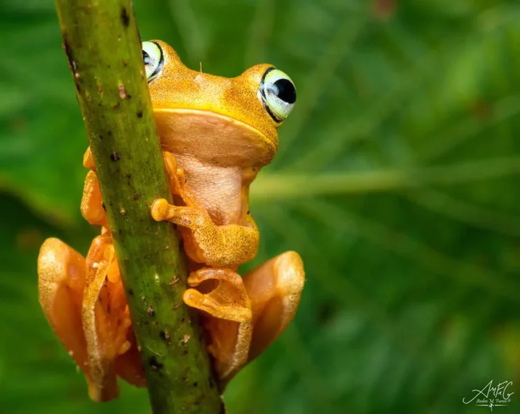 colombia photographer andres mauricio