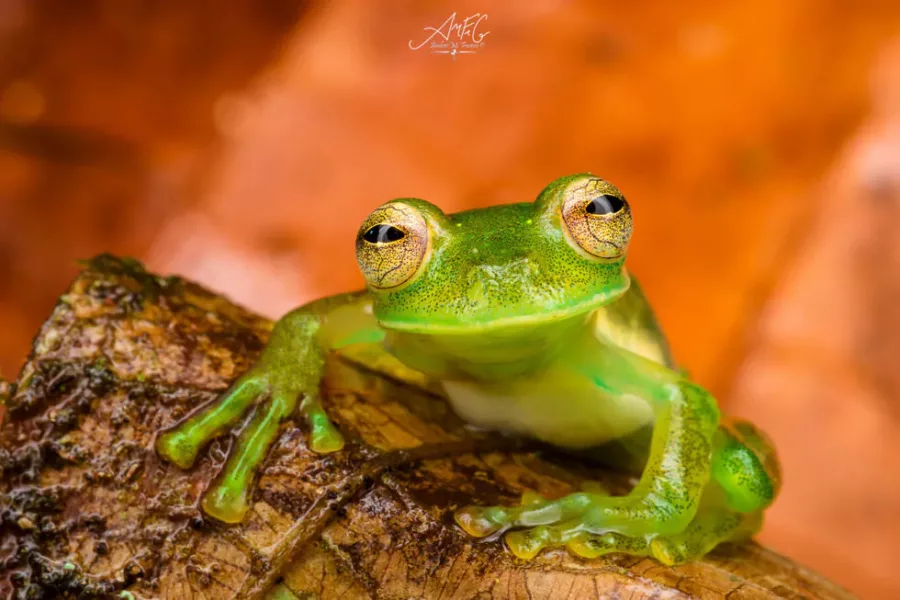 colombia photographer andres mauricio