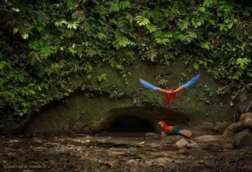 colombia photographer di domenico