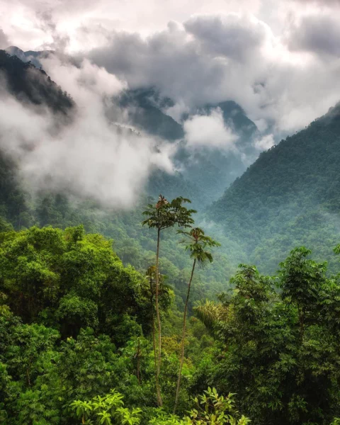 colombia photographer gabo eisenband