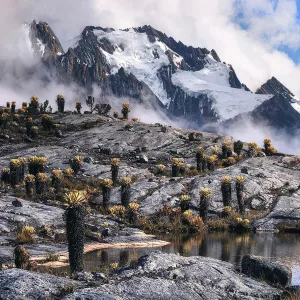 colombia photographer gabo eisenband