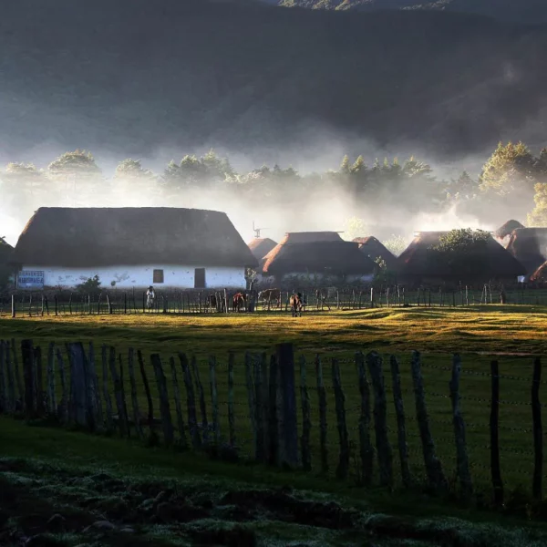 colombia photographer pelicano carlos