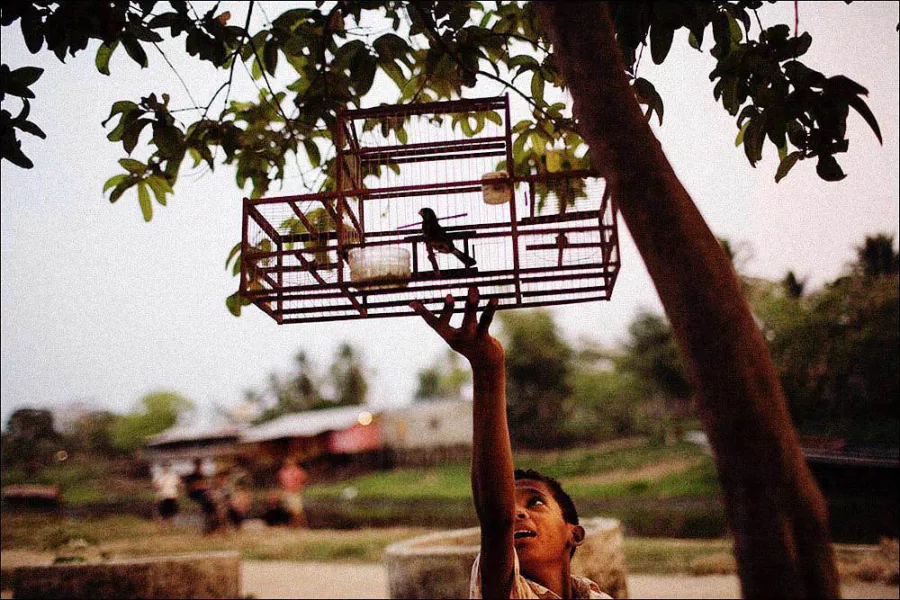 colombia photographer stephen ferry