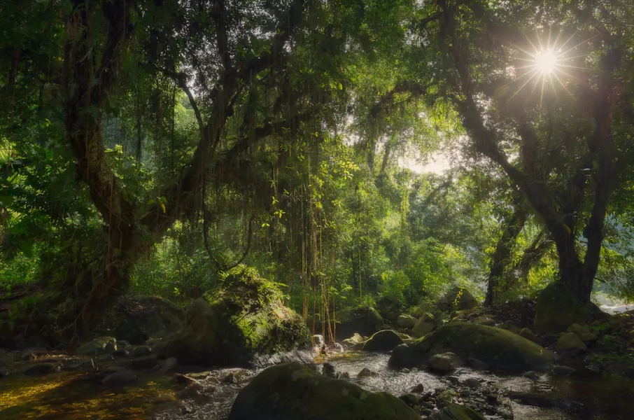 colombia photographer tristan quevilly