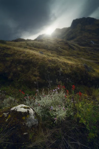 colombia photographer tristan quevilly