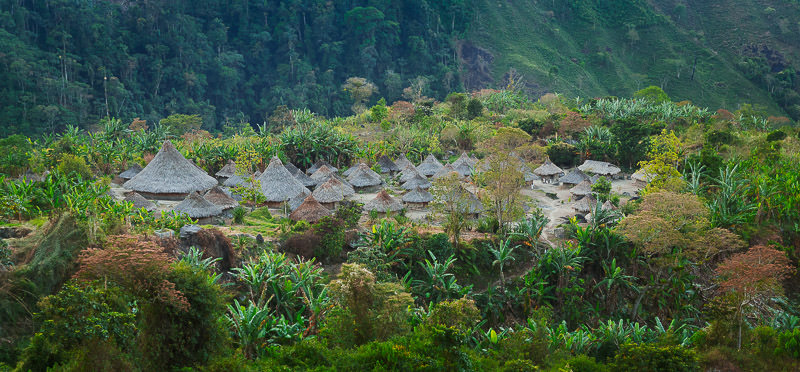 village kogi colombie