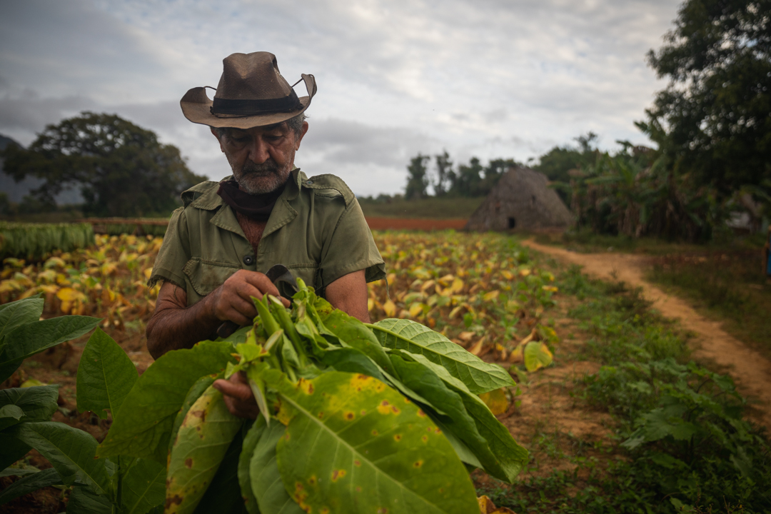 Viñales Cuba