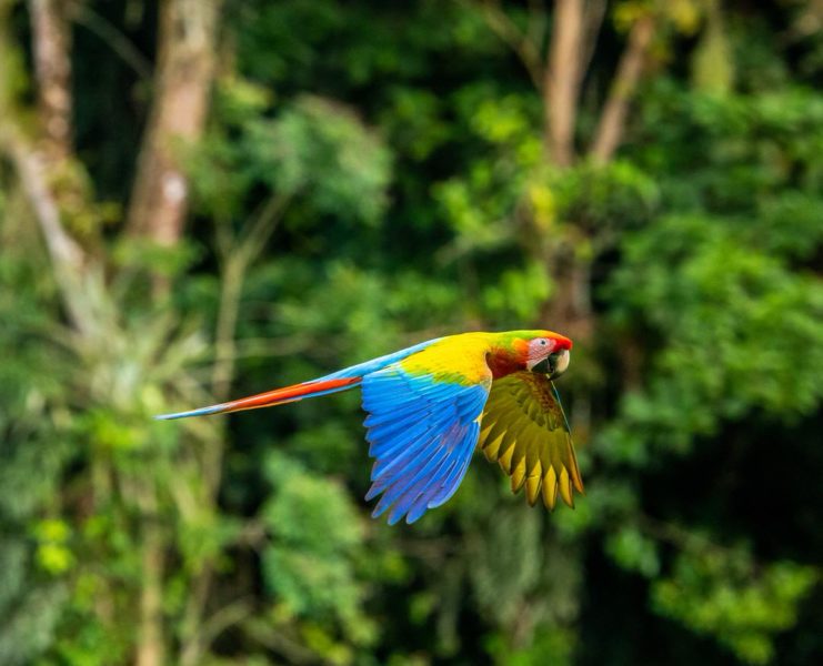 Costa Rica Photo Tour zdenek machacek